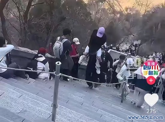 个人配资网 “两天挣了两千元”！泰山陪爬爆火，有人已成立工作室